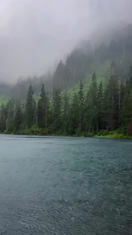 this is an everyday view i need  #fypシ #rainydays #gloomydays #peaceandnature🌿 #aesthetic #vibes #fyp #darkaesthetic #foryoupage #forest #bestviewintheworld 