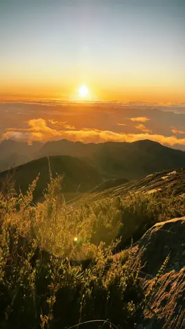 Amanhecer no 3º maior pico do 🇧🇷 #picodabandeira#trilha#aventura #sunrise#trip#brasil#nascerdosol#nature#trekking#brazil#montanha#caparao#montanhismo#natureza#caparaó