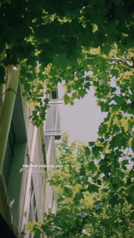 Hôm nay ta thức dậy vẫn như thường nhật... #nhc27 #chí #CapCut 