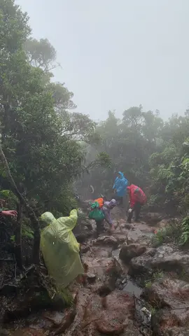 Jangan mengajari kami sabar kami udah sering dihantam hujan di gunung  #fyp #pendakigunung #gunungindonesia 