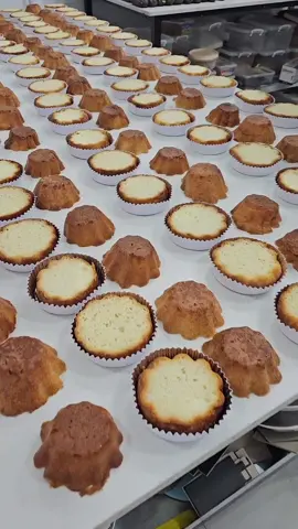 #لبنان🇱🇧 #labnon🇱🇧 #قطر🇶🇦 #الاردن #السعودية🇸🇦 #الامارات_السعوديه_الكويت_البحرين_عمان #العراق #مصر #viral #foryou #ماستر_شيف_ماجد #ماستر_شيف_ماجد_زهير #النبطية #جنوب_لبنان🇱🇧 #المغرب🇲🇦تونس🇹🇳الجزائر🇩🇿 #المملكة_العربية_السعودية #كندا #المانيا #السويد #النمسا #@food_handcraft @Tarzan @Chef Marwan @🇱🇧Cooking 🇶🇦 @Chef Kamar Deeb... @majedzuhair 