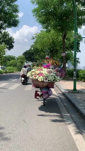 Video gốc Cô bán hoa các bác tải về và ghép nhạc mùa thu hà nội nhé #tâmtrạng #xuhuongtiktok #hottrend 