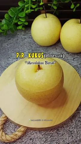 Pir Kukus (Meredakan Batuk) ✨ Lagi musim sakit demam, bapil karena cuaca akhir-akhir ini nggak menentu, cuaca panas banget ujan cuma sebentar 😌 Karena kemarin malah ikut2an batuk pilek dan kebetulan lagi ada resep obat tradisional yg lagi viral, apa salahnya untuk dicoba 🫶 Baesuk (pir yang dimasak) atau pir Kukus adalah obat tradisional yang berasal dari Korea, terbuat dari rebusan buah pir, jahe dan rempah lainnya, yang bermanfaat untuk meredakan flu batuk. Beberapa kali juga berseliweran di reels ig dan medsos lain, dan coba cek juga beberapa infonya di berbagai media sosial, dan memang cocok cocokan juga 🫶 tapi Alhamdulillah kemarin aku dan suami coba makan dan lumayan reda batuknya 💚 Ada yang udah pernah coba juga resepnya?  Cocok gak? Bahan : 1 buah pir 1cm jahe (optional) 3sdt madu(optional) Aku cuma pake 3 bahan ini aja, bisa juga ditambah kayu manis biar lebih wangi dan rempah lainnya, sesuai selera ✨ #pirkukuskorea #pirkukus #baesuk #obatbatuk #obatbatuktradisional #obattraditional