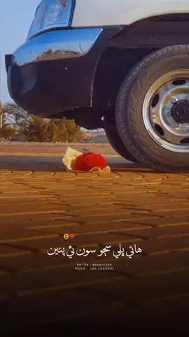 Hane Bhali Sajo Son Thi Payi 😂 Urs Chandio ✨🌺 #urschandio #foryou #foryoupage #sindhistatus #100kviews #fypシ #urschandiosong #viral #urschandiosongs 