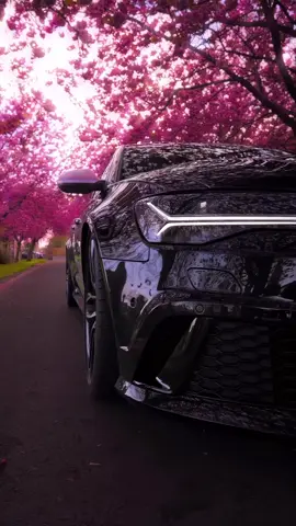 Awesome 4K Audi RS6 content 🔥🖤 . . 🎥: @rs6ne  #audi #audisport #audiquattro #sportcar #luxurycars #carporn #carinstagram #carclub #cinematic #8k #4kwallpaper 