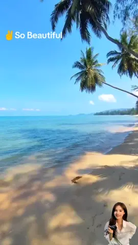 Koh Samui is a wonderful tropical island  #Unseen #Amazing #Island #Koh #ThaleWaek  #SeparatedSea #wonderful  #Tourist #Attraction #Beach #Beautiful #Sea #ISand #Sun  #Andaman #Southern  #SuratThani #Thailand #🇹🇭 📍🌴🌴😎🇹🇭👍🎶🌴☀️⛱ ✌Bienvenue en Thailande 🇹🇭      タイへようこそ      태국에 오신 것을 환영합니다  🤟✌💚🖐✊🎶🎵 #Thailande #Bienvenue  #ようこそ #タイ #태국 #환영합니다 #어서 오세요 ~༺✿*¨`*•.¸♡¸.•~✈ #LongVideo @✈краб♡🎧🎼🎵🎶🎸💚✌🛩🛫🌈🖐 @✈краб♡🎧🎼🎵🎶🎸💚✌🛩🛫🌈🖐 @✈краб♡🎧🎼🎵🎶🎸💚✌🛩🛫🌈🖐  #TikTokUni  