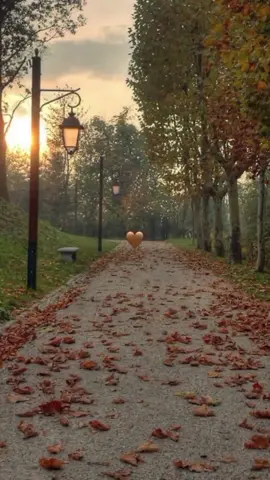 يا ورق الاصفر عم نكبر....عم نكبر 🍁🧡 _________ #اغاني_الزمن_الجميل #فيروزيات #فيروز_وفنجان_قهوة #فيروزيات_الصباح  #اغاني_عربيه#ماجدة_الرومي #majidaelroumi  #انا_عم_بحلم_ليل_نهار  #اغاني_رومانسية #fypシ #lebanon #لبنان🇱🇧_سوريا🇸🇾_فلسطين🇵🇸_تركيا #fun #حبيبي_يا_نور_العين #fun #مروان_خوري #اغاني_رومانسية #حنين  #ماضي_وذكريات #ماضي #جوليا_بطرس #وين_مسافر