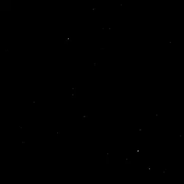 #ريو #foryou #fyp #ماعوفك_حبيبي_ولحضه_ماانساك 