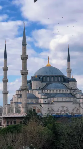 From the breathtaking views of the Bosphorus to the timeless beauty of the Blue Mosque, Istanbul is a feast for the eyes. Save this post for your next trip to Istanbul 🇹🇷  Follow us for the best recommendations and experiences in Türkiye 🧿 Explore Turkiye like never before 🇹🇷  Contact us for all for your bucket list and luxury travel experiences in Turkiye. ✈️  www.allthingsturkish.net  • • • Follow @all_things_turkish  #istanbul #bosphorusview #summerfeeling #vacay #istanbul🇹🇷 #turkey #turkishsummer #travel #travelling #traveltips #summertravel #summer2023 #travelturkey #traveltips #dametraveler #bucketlistadventures #travelguide #travelagent #luxurytravel #allthingsturkish
