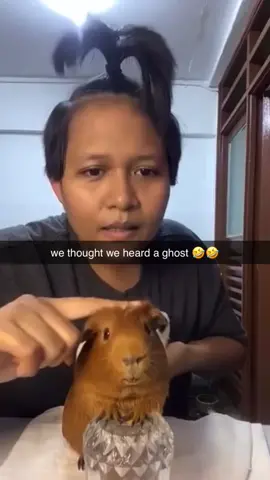 #funnyvideos #joke #meme 