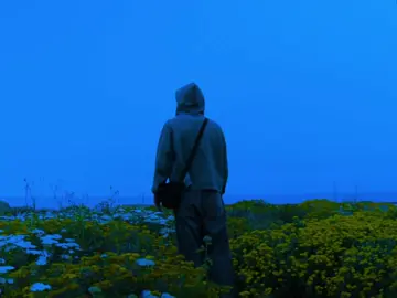 sometimes you just need to be alone  #california #ca #ocean #field #cinematography #bigsur #yosemite#videography #cinematic #nightaesthetic #forest #sea #fog   #darkaesthetic #night #bluehour #real #fy #fyp #nature 