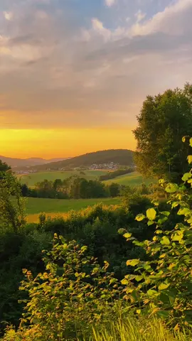my favorite place on earth💜💜 #foryoupage #germany #nature #mountains #sunset #goldenhour #golden #aesthetic #viral 
