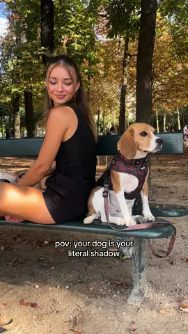 My bestie ❤️ #dogparent #dogowner #dogmum #dogmom #dog #dogsoftiktok 