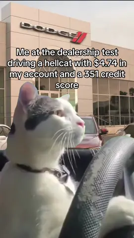 This he me fr #memes #relatable #hellcat #dodge 