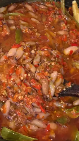 #babycumi #sambalbabycumi #sambalviral #makananpedas #kulineraceh #laukanakkosan 