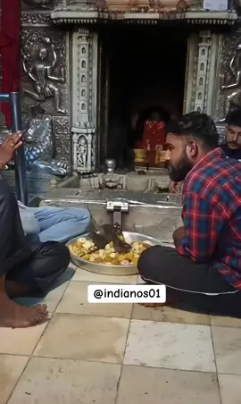 Um santuário com milhares de ratos: O Templo Karni Mata 🇮🇳🥵 #india #indianfood #templodosratos 