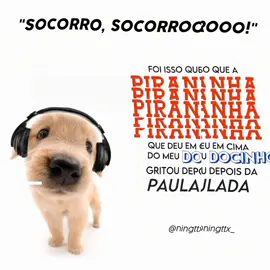 🤭... ib:@𝐃𝐄𝐈𝐎𝐊𝐔  #fy #fypシ #foryou #foryou #animals #viral #fyp #meme #animal 