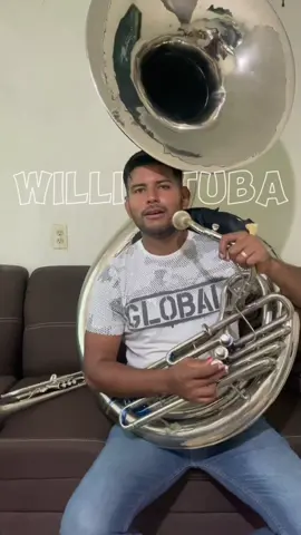 Porque no produce el sonido a una tuba #vibracion #sonido #tuba #willistuba #instrumentos