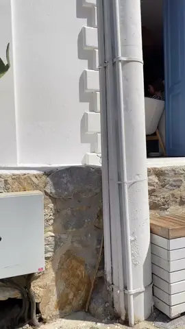 #tatil  #datça #eskidatça #Summer #muğla 