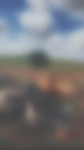 #علي_بن_روغه #علي_بن_روغه🔥 #علي_بن_روغه_الزعابي #علي_بن_روغه_رفيع_الذوق #علي_بن_روغه🥀♥️ #علي_بن_روغه_فنان_الامارات_الاول #جديمك #جديمك_نديمك #نيسان #العين_دار_الزين #اكسبلورexplore #اكسبلوررررر #اكسبلور_تيك_توك #عمان🇴🇲 #قطر🇶🇦 #السعودية🇸🇦 #الامارات_العربية_المتحده🇦🇪 