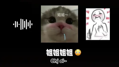 Awwww, giọng ai mà ngọt thí😫😫 #yubipeini#credouyin抖音#voice#voicenam#tiengtrung#trungquoc#họctuvungtiengtrung#dangiu#cute#xh#xuhuong