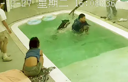 #fyp #PetsOfTikTok #tiktokdogs #tiktokcats #funnydogs #funnycats #funnyvideos #funnypets 