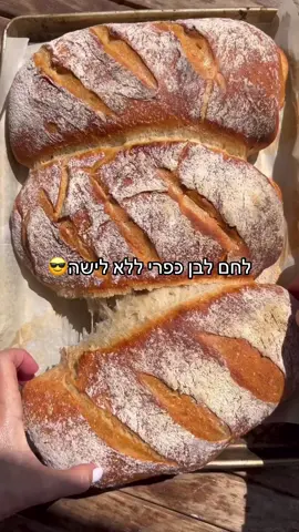 תכינו את הבצק לפני שנכנס כיפור ובצאת כיפור תוציאו מהמקרר ותאפו זה כלום עבודה!!!!  לחם לבן כפרי מבצק ללא לישה/3 לחמים גדולים מצרכים למתכון: 7 כוסות (1 קילו) קמח פיצה (פירוט על המרות קמחים בתחתית המתכון למטה) 3.5 כוסות (500 גר׳) קמח חלה (פירוט על המרת קמחים בתחתית המתכון למטה) 3 כפיות שמרים יבשים 6 כפיות שטוחות מלח דק 1/4 כוס סילאן 4.5-5 כוסות מים (1080-1200 מ״ל) מי ברז לקימוח: 1 כוס (140 גר׳) קמח לבן רגיל אופן ההכנה: מכינים את הבצק: בקערה גדולה מאוד מערבבים קמח, שמרים יבשים, מלח וסילאן, מוסיפים מים תחילה מחצית מהכמות ואז את היתרה, לאט לאט, אל תוסיפו הכל בבת אחת, ותערבבו טוב לפני שאתם מחליטים אם להוסיך עוד או לא, יכול להיות שלא תצטרכו את כל כמות המים ואולי אפילו תהיו זקוקים לתוספת. בעזרת כף עץ מערבבים את הכל למשך דקה, עד שמתקבל בצק מאוד מלוכלך רטוב, דביק ולא הכי פוטוגני . מכסים בניילון נצמד ושולחים להתפחה. עכשיו שימו לב למה שאני כותבת: מינימום התפחה, 15 שעות, מקסימום התפחה 48 שעות. להתפחה של 15 שעות אפשר להשאיר כל הלילה על השיש, אם מאוד מאוד חם אפשר במקרר. אני משאירה לילה על השיש, ואז מעבירה למקרר לעוד 24 שעות. זו ההמלצה הכי טובה שלי. אפשר גם להתפיח ישירות במקרר כל הזמן שכתוב, אבל הכי חשוב לזכור שאם התפחתם על השיש לילה, תכניסו בבוקר למקרר אם אתם לא עובדים איתו. מרפדים תבנית תנור בנייר אפייה. כשהבצק מוכן לעבודה, מקמחים ממש טוב משטח עבודה, מקמחים את הבצק מלמעלה רגע לפני שמעבירים אותו למשטח העבודה, כל זה נועד כדי להקל עליכם כי הבצק מאוד דביק. על משטח העבודה הופכים את הבצק קצת ומגלגלים בתוך הקמח ומסדרים אותו שיהיה נח לחלק אותו לשלושה חלקים שווים . בעזרת קלף מתכת פורסים אותו לשלושה חלקים. מרדדים  כל חלק בצק קצת בעזרת מערוך (כל זמן שהכל דביק תוסיפו קמח, אל תפחדו, ותיעזרו בסרטון) למלבן לא דק מדי, הרידוד נעשה רק כדי לפתוח מעט את הבצק. מקפלים שליש עליון של המלבן פנימה, לא עד הסוף, ואת החלק התחתון מעליו עד הסוף, לכיכר לחם. בעזרת הידיים מעצבים קצת אם הצורה לא שווה. מניחים על תבנית אפייה, חוזרים על הפעולה עם שני החלקים האחרים, ומכסים במגבת להתפחה. מחממים תנור ל 250 מעלות, ומכניסים תבנית מתכת ריקה לתחתית התנור (שתשב ממש על התחתית שלו) לאחר 30-35 דקות, כשכיכרות הלחם כבר תפחו, מפדרים אותם בקמח בעזרת מסננת. (הכי טוב לקנות מסננת תה קטנה בדיוק בשביל זה) בעזרת סכין מאוד חדה חורצים בעדינות שלושה חריצים בכל כיכר לחם באלכסון. מכניסים לתנור, ומוזגים מים לתוך התבנית שהתחחמה בינתיים בתחתית. זה נועד ליצירת אדים בתנור. יש עוד שיטות ליצירת אדים: אפשר להשפריץ מים על תחתית התנור, או לזרוק כמה קוביות קרח לתחתית התנור, עניין של העדפה, כל השיטות עובדות. העיקר שיהיו בתנור אדים והלחם ייצא קראסטי. אופים את הלחמים למשך 40-45 דקות, אתם אמורים לראות שהם קיבלו צבע שזוף מאוד ובנקישה עליהם הם משמיעים צליל חלול וחלומי. מוצאיים ולא מתאפקים!!!! מיד פורסים וזוללים. **אפשר להתשמש בכל סוג קמח אחר או לשלב גם קמחים מלאים , אפשר לשלב כמה סוגי קמחים, רק לבנים או לבנים ומלאים, כל הכמויות וכל הסוגים עובדים, פחות ממליצה על קמח שיפון. **את הסילאן אפשר להמיר בדבש באותה הכמות **אפשר להוסיף לבצק כבר בשלב הערבוב הראשוני תוספות שאוהבים כמו זיתים, שבבי בצל, או כל תוספת אחרת. **אפשר להכין את הבצק למשל כשיוצאים לחופשה בצימר, ויש מטבח, מכינים כזה בקערה לא צריך הרי מיקסר, וכל בוקר קמים ומכינים מהבצק רק לחם אחד, את שאר הבצק ממשיכים לאחסן במקרר, ככה כל יום יהיה לכם לחם טרי טרי, יעופו עליכם, ולא תשקיעו כמעט מאמץ.