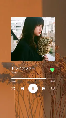 #yuuri #優里 #ドライフラワー #driedflowers #jpoplyrics #jpopsong #jpop 