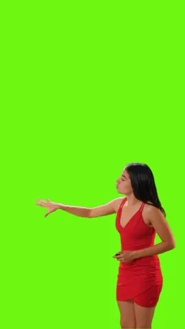 Lady in Red #GreenScreen #GreenScreenMemer #overlays #memes 