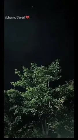 كل الحارات فاكره هزارنا وضحكنا🖤🥀 #mohamedsaeed #fypシ゚viral #fy #foryou 