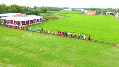 Clip ngắn đám cưới góc quay từ Flycam cảnh rước dâu trên cánh  video :Phóng Sự Cưới SuriWeddingHouse  #cuoinha #wedding #xuhuong