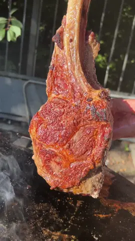 🔥 Tomahawk Sizzleee - who wants a piece? 🦊🔥 ———————————————————————— #outdoorcooking #outdoorkitchen #grill #outdoor #food #grilling #bushcraft #camping  #barbecue #bbqlife #Outdoors  #cooking #outdoorliving #bbqlovers #steak #firecooking #scampi #cookingwithfire #fire #meat #tomahawksteak #tomahawk #tomahawkribeye #ribeye #tomahawkribeye  ————————————————————————