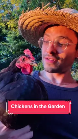 Come here Jade!!!! 😩🐓💨✨ #farm #chicktok #gardentok 