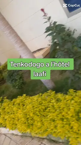 #oscarminoungou#tenkodogo#a#l'hôtel#laafi#les#sambre#sont#climatise#piscine#resto#passe#voir#vous#verre#tou#viralvideo