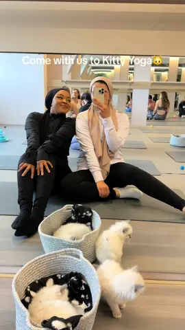 If you’re looking for a cute & unique activity to do with your bestie in London I defo recommend @Kitty Yoga London 🤍 we had the cutest day & was so tempted to take a Ragdoll home with me 🐱😍❤️ #kittyyoga #yoga #dayoutwithbestie #dayoutinlondon #muslimtiktok #healthyliving 