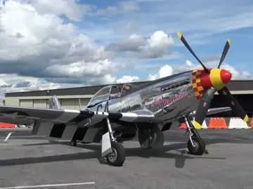 The BF-109 is no friend... #fyp #warthunder #aviation #airforce #ww2 #spitfire #bf109 #p51mustang #edit #capcut 