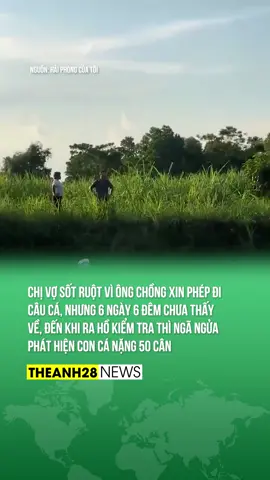CHIẾN THẦN ẨN THÂN, NỮ HOÀNG NÚP LÙM, BÀ TỔ BIẾN HÌNH XIN ĐƯỢC GỌI TÊN CÔ GÁI NÀY #Theanh28 #Theanh28news #tiktoknews