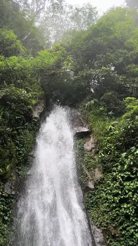 Tidak semua wanita punya tempat untuk bercerita  #tiktoksarahardhelia #sarahardhelia #mamisarahardhelia #tantesarahardelia #selebgram #youtuber #fypreel #fypfeed #fyppost #fypviral #exploreindonesia #explorealam #modelsenior #modellegend #sarahardheliayoutube #instagramfeed #instagramreel #sarahardheliafitness #model #fypreel #fypviral #fyphits #fypfeed #facebook 