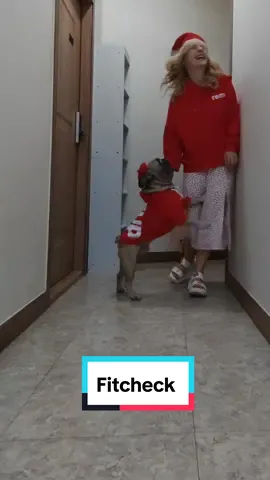 I love this little guy so much💕🥰 I definitely bought us more matching outfits 😂😁 #fitcheck  #프렌치불독 #frenchbulldog #OOTD 
