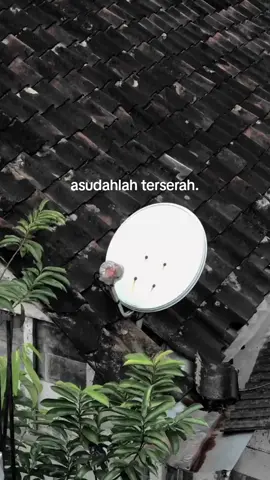 #fypシ #masjevy04 #jevygembul #jevygembul_story #xyzbca 