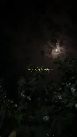 احب صوت غيث 🥹#مابيه_حيل_اخلي_هاشتاكات #explore #music #اغاني #سما #تصميم #تصميمي #اكسبلور #لايكات #كومنت #غيث_صباح #ليليه #عيونك 