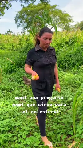 Remedio casero para disminuir el colesterol los triglicéridos y el azúcar.