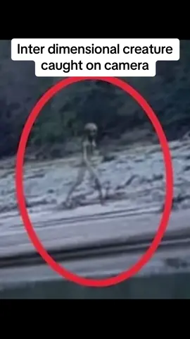 A strange, semi transparant interdimensional creature is caught on camera walking along the side of a lake in Bolivia #oliviatwistmysteries #mystery #bolivia #creature #interdimensional #alien #grey #gray #aliens #caughtoncamera #filmed #strange #fake #real #hoax #prank 