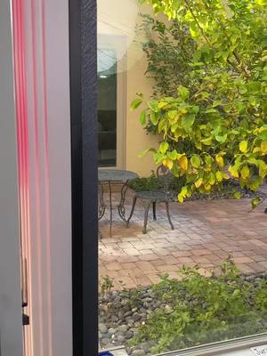 Delivery man gets sweetest surprise!#drama#dramatiktok#feelgood#heartwarming#givingbackThis original video was produced by Hendersondramaclubnm, Network Media and Leon & Chelsea LaCongo