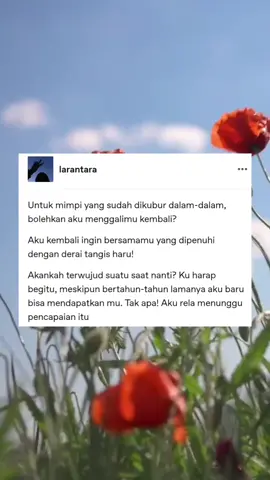 bismillah, kembali mengejar impian yang tertunda. semangat!!!#larantara #katalara #katakata #katabijak #katakatamotivasi #impian #menggapaimimpi 