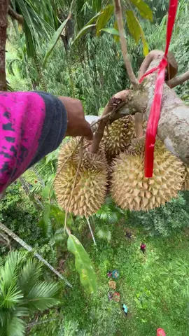 OMG 1 minute 😱 !! #asmr #fruit #fruits #usa #fyp #fypシ