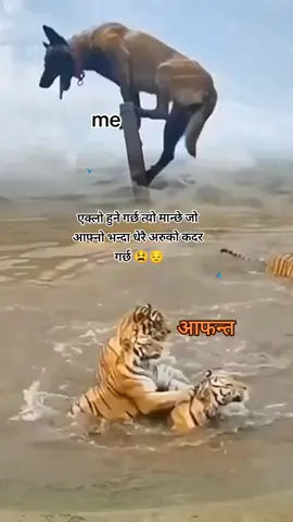 @drama Queen drama @Binod Dahal56🇰🇷🇰🇷🇰🇷 