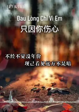 Đau Lòng Chỉ Vì Em - 只因你伤心 #zhiyinnishangxin #nhactrungquoc #nhactrunghay #nhachoangu #nhachoa8x9x #nhachoatamtrang 