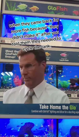 #CapCut #petstorestories #fishtanks #aquariumfish #pet #petstore #aquariumfish #petstoreworker #petstoreemployee #fishcontent #bettafish #goldfish #aquarium 