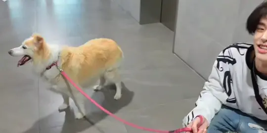 layla with his dad🐶🥹🥰#jake #enhypen #enhypenedit 